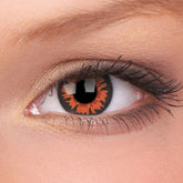 Crazy One-Day Volturi